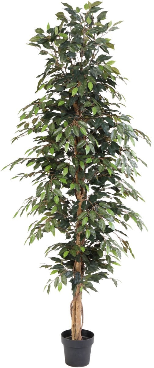 Florafy Kunstplant Ficus Benjamina 205 cm - Onderhoudsvrije kunstboom voor binnen