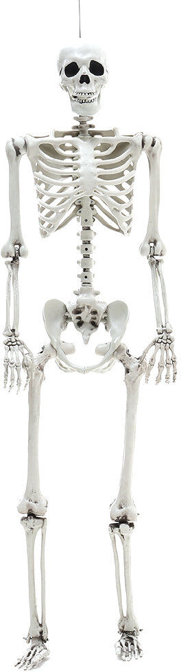 The Seasonal Aisle Halloween Figurines & Collectibles White 160cm