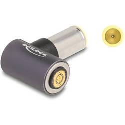 Delock Seriell Adapter [1x DC-Hohlstecker - 1x Magnetanschluss] 0.005 m Grau 80792