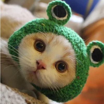 Uplift Essentials Adorable Lion Mane Pet Transformation Cap frog