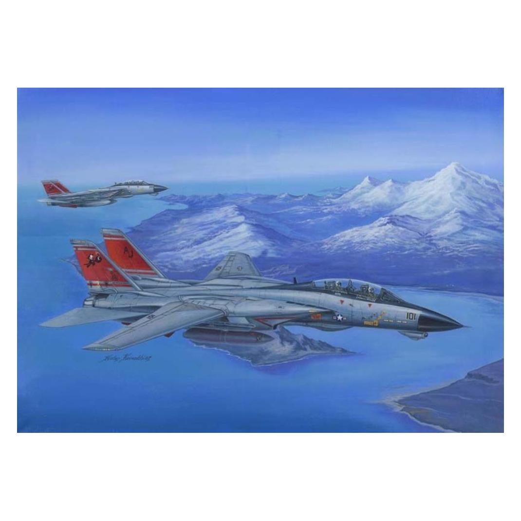 Hobby Boss F-14D Super Tomcat (80368)