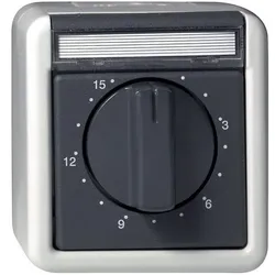 Gira Zeitschalter gr 032030