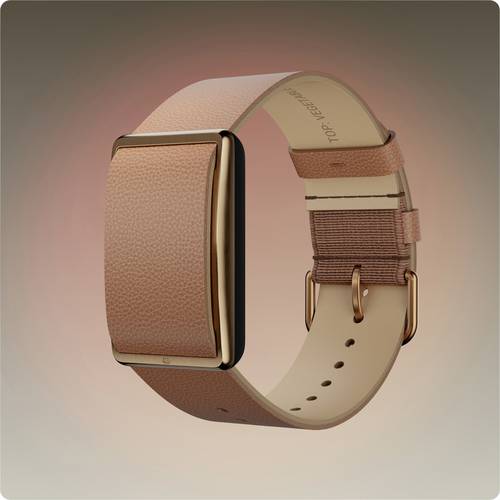 Polar WB LOOP GEN2 Ersatzarmband Größe=S/L Gold
