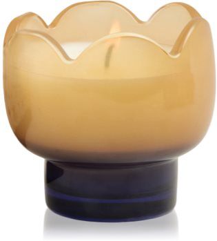 Paddywax Tulip Garden & Grove vela perfumada 155 g. Tulip Garden & Grove