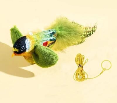 Uplifted Finds "Hanging ""Aerodynamic Bird"" Doorway Teaser green"