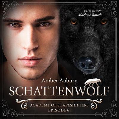 Schattenwolf, Episode 6 - Fantasy-Serie - Amber Auburn, Audio, 9783947099153