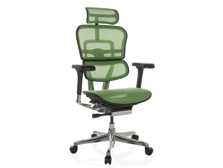 ERGOHUMAN GEN2 Netz - Luxus Chefsessel Grün