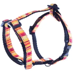 Image Reg Beach (Hund, Spazieren), Halsband + Leine