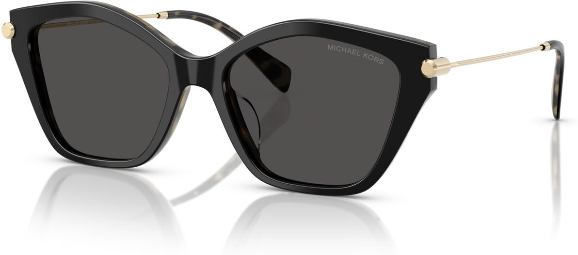 Lunettes de soleil Michael Kors Catskills MK 2246U (395087) Femme