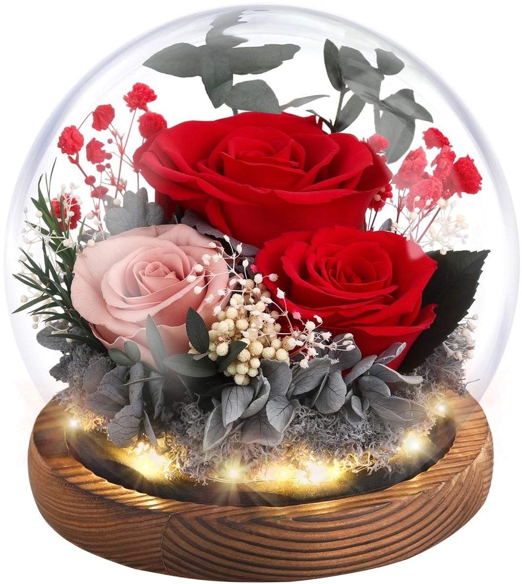 Dailygoods Eeuwige Roos in Glazen Dome met LED Licht