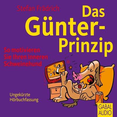 Das Günter-Prinzip - Stefan Frädrich, Audio, 9783862006120