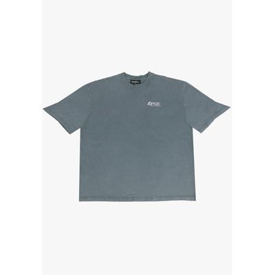 T-Shirt DROPSIZE "Dropsize HEAVY OVERSIZE TOUR T-SHIRT", Herren, Gr. XS, grau (acid grau), 100% Baumwolle, bedruckt, oversize, Rundhals, Shirts T-Shirt