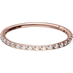 Titan Segmentring Clicker EINGEFASSTE KRISTALLE