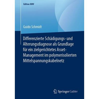 Differenzierte Schädigungs- und Alterungsdiagnose als Grundlage für ein zielgerichtetes Asset-Management im polymerisolierten