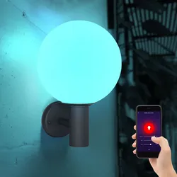 Außenleuchte Wandleuchte Gartenleuchte Hauswandlampe, App- Sprachsteuerung Farbwechsler dimmbar CCT Tageslicht Timer, LED 5W 470Lm warmweiß-kaltweiß, DxH 25x37cm