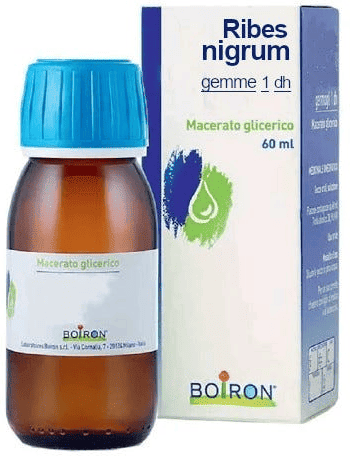 Boiron Ribes Nigrum Gemme 1DH Macerato Glicerico 60 ml