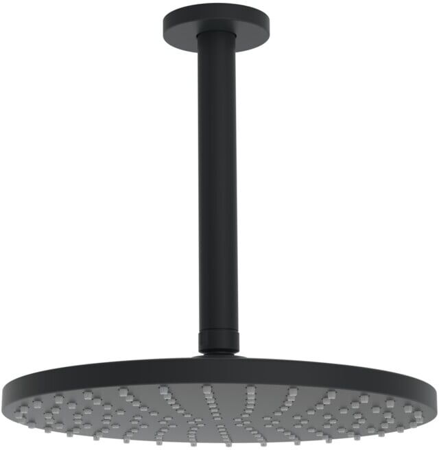 Hansa HANSAVIVA Pomme de douche plafond 1 trou, noir mat (4427020033)