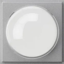 Gira Abdeckung alu für Farbkamera TX-44 141565