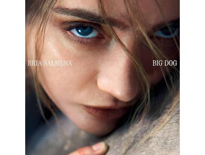 Big Dog
