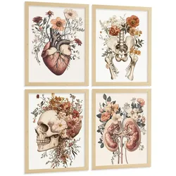 POSTER Set aus 4 Anatomie Drucke und Wandbilder mit Herz Nieren Schädel und Becken Botanischer Stil Medizinische Wanddekoration Größe Rahmenlos A4