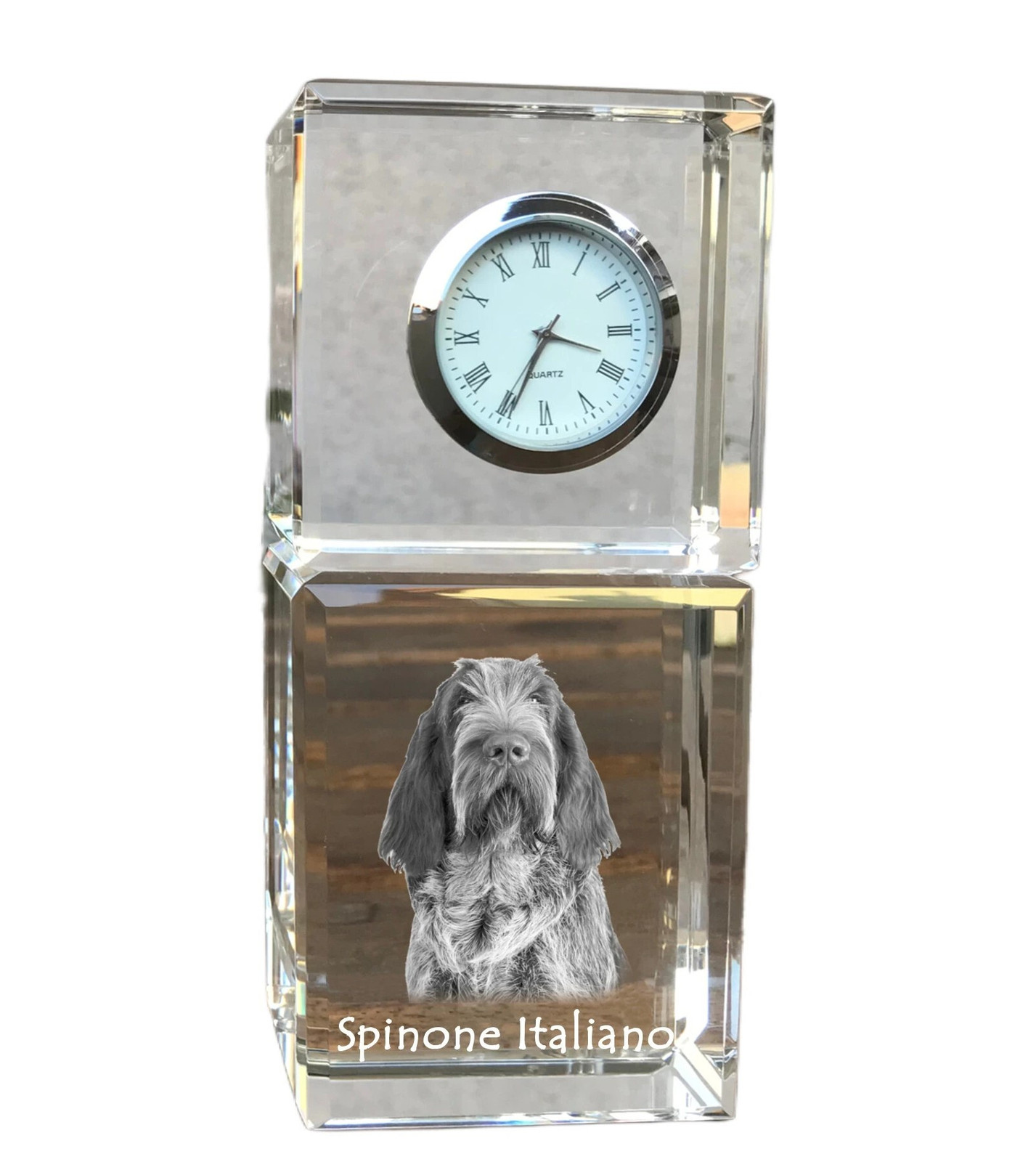 Art-Dog Klok Spinone Italiano voor op tafel