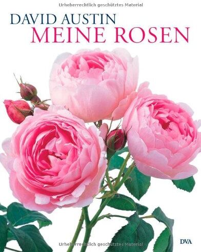 David Austin - Meine Rosen - Preis vom 04.10.2026 03:51:26 h