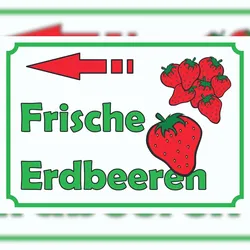 HB-Druck Verkaufsschild Schild Erdbeeren links A3 (297x420mm)
