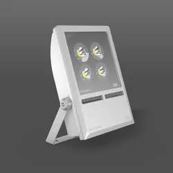 RZB LED-Strahler 721718.004.1.76