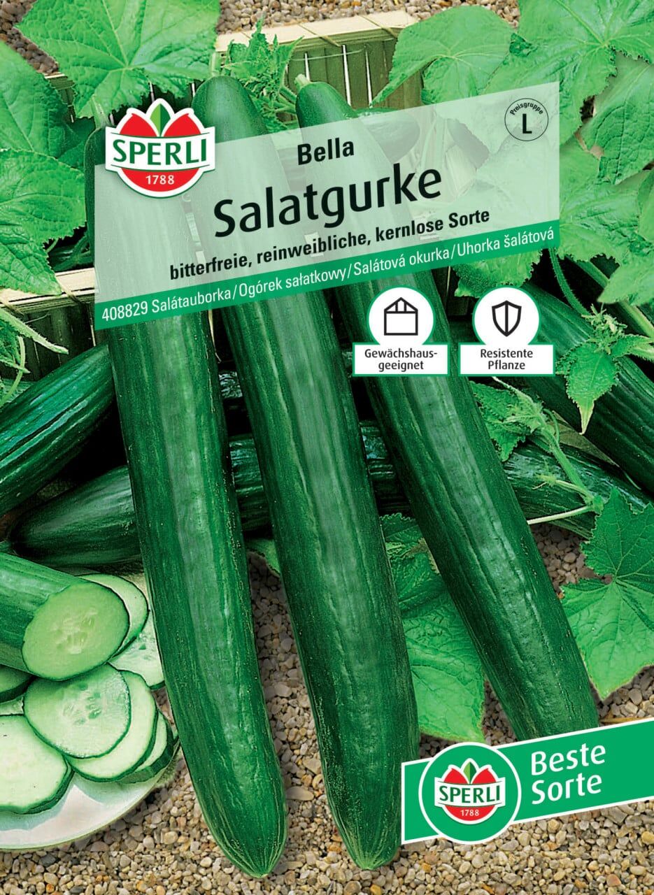 Sperli Salatgurke Bella F1