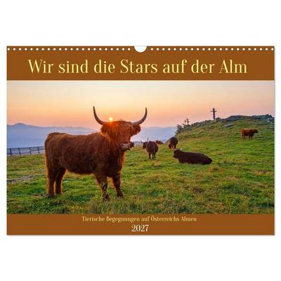 Wir sind die Stars auf der Alm (Wandkalender 2027 DIN A3 quer), CALVENDO Monatskalender
