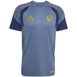FC Bayern München Herrenfußballshirt Training 26/27 - dunkelblau / L