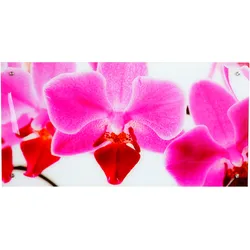 Glasbild T115, Wandbild Poster Motiv, 50x100cm ~ Orchidee