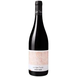 Les Enfants Terribles 2025 - Pinot Noir - Paul Aegerter