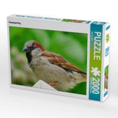 CALVENDO Puzzle Haussperling | 2000 Teile Lege-Größe 90 × 67 cm Foto-Puzzle für glückliche Stunden