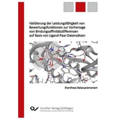 Validierung der Leistungsfähigkeit von Bewertungsfunktionen zur Vorhersage von Bindungsaffinitätsdifferenzen auf Basis von Ligand-Paar-Datensätzen,