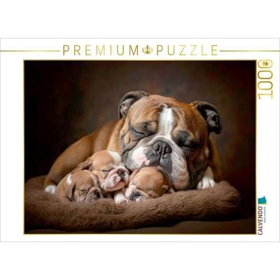 CALVENDO Puzzle Süße Englische Bulldoggen Familie | 1000 Teile Lege-Größe 64x48cm Foto-Puzzle für glückliche Stunden, von , Calvendo Puzzle