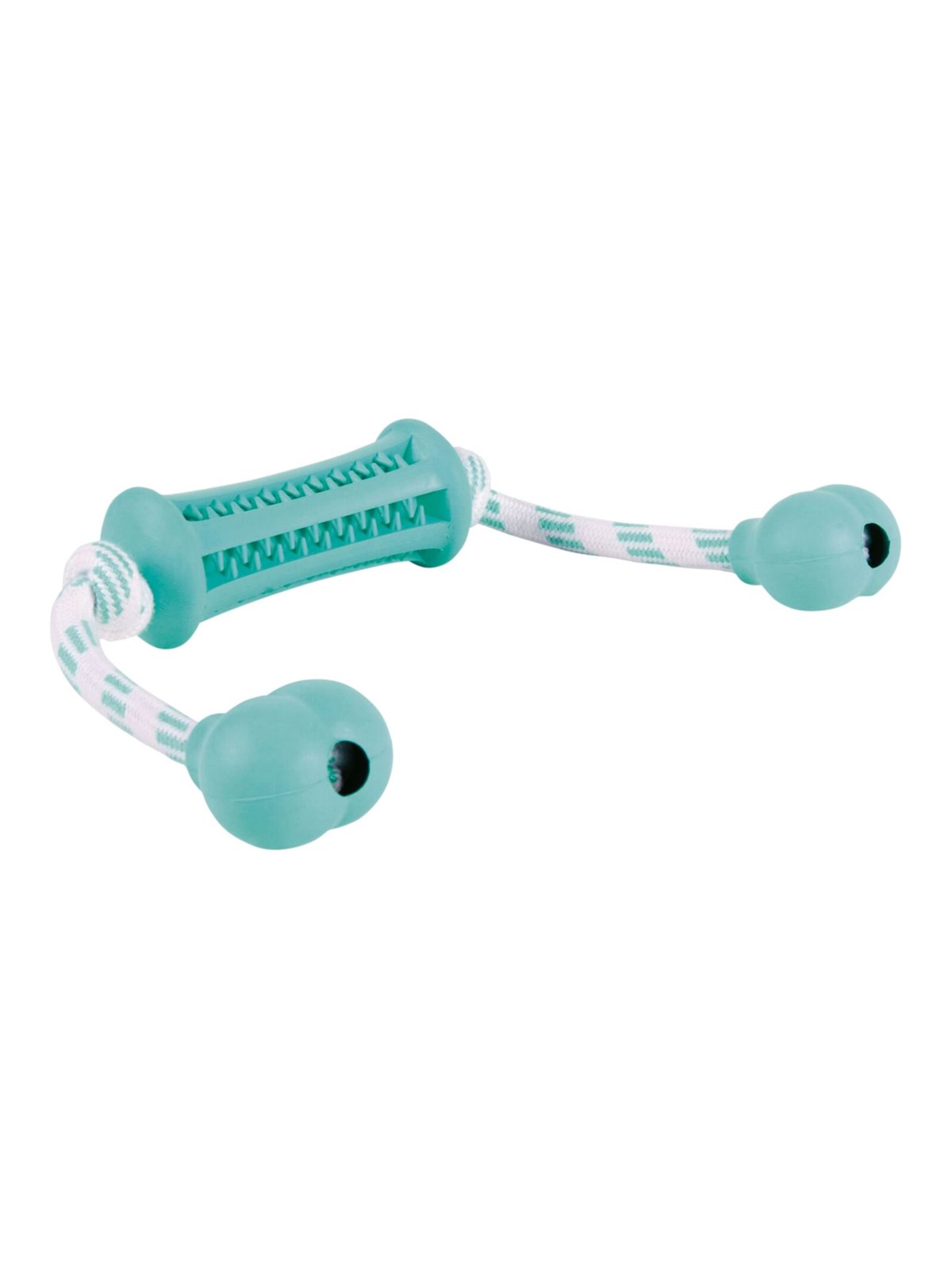 Trixie Denta Fun Stick with Rope - Mint Flavour 9x37cm