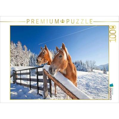 CALVENDO Puzzle Neugierige Pferde in Flachau | 1000 Teile Lege-Größe 64x48cm Foto-Puzzle für glückliche Stunden