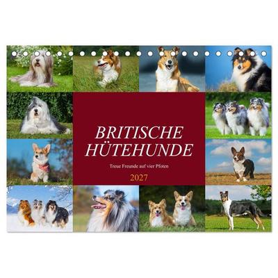 Britische Hütehunde - Treue Freunde auf vier Pfoten (Tischkalender 2027 DIN A5 quer), CALVENDO Monatskalender