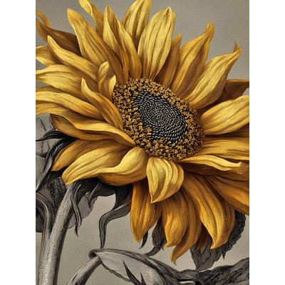 CALVENDO Puzzle Strahlende Sonnenblumen, goldene Boten des Sommers | 1000 Teile Lege-Größe 64x48cm Foto-Puzzle für glückliche Stunden, Game von ,