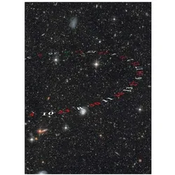 Monte Carlo Method, w. DVD-ROM, Fachbücher von Ecke Bonk
