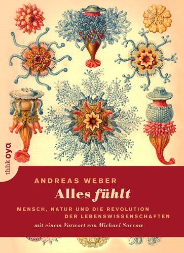 Andreas Weber - Alles fühlt: Mensch, Natur und die Revolution der Lebenswissenschaften - Preis vom 10.10.2026 11:48:34 h