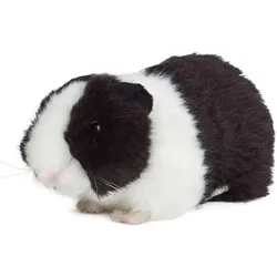 Living Nature Meerschweinchen schwarz 18cm ohne Sound Plüschtier Kuscheltier Meerschwein Kinder