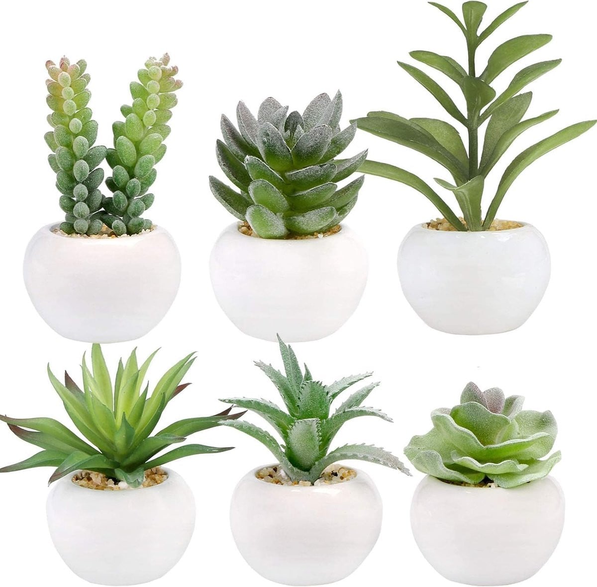 Merkloze kleine groene succulent kunstplant in pot voor decoratie van woonkamer, badkamer of kantoor