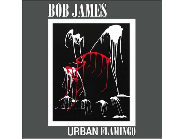 Urban Flamingo