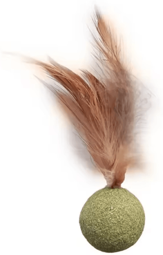 Inspire Curations MintyPaws Catnip Ball Toy Edible Cat Mint Treat & Teeth Cleaning Toy 1pcs