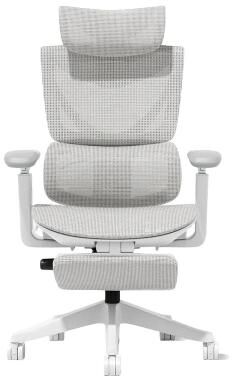 toswini Mesh High Back Office Chair with Button Controls and Retractable Footrest