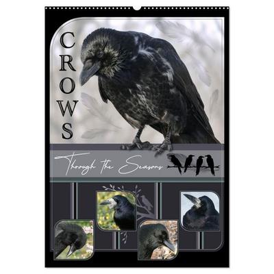 Crows - Through the Seasons (Wall Calendar 2027 DIN A2 portrait), CALVENDO 12 Month Wall Calendar