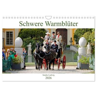 Schwere Warmblüter 2026 (Wandkalender 2026 DIN A4 quer), CALVENDO Monatskalender
