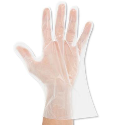 NATUREStar Bio PLA-Handschuhe 500 Stück Größe M kompostierbar